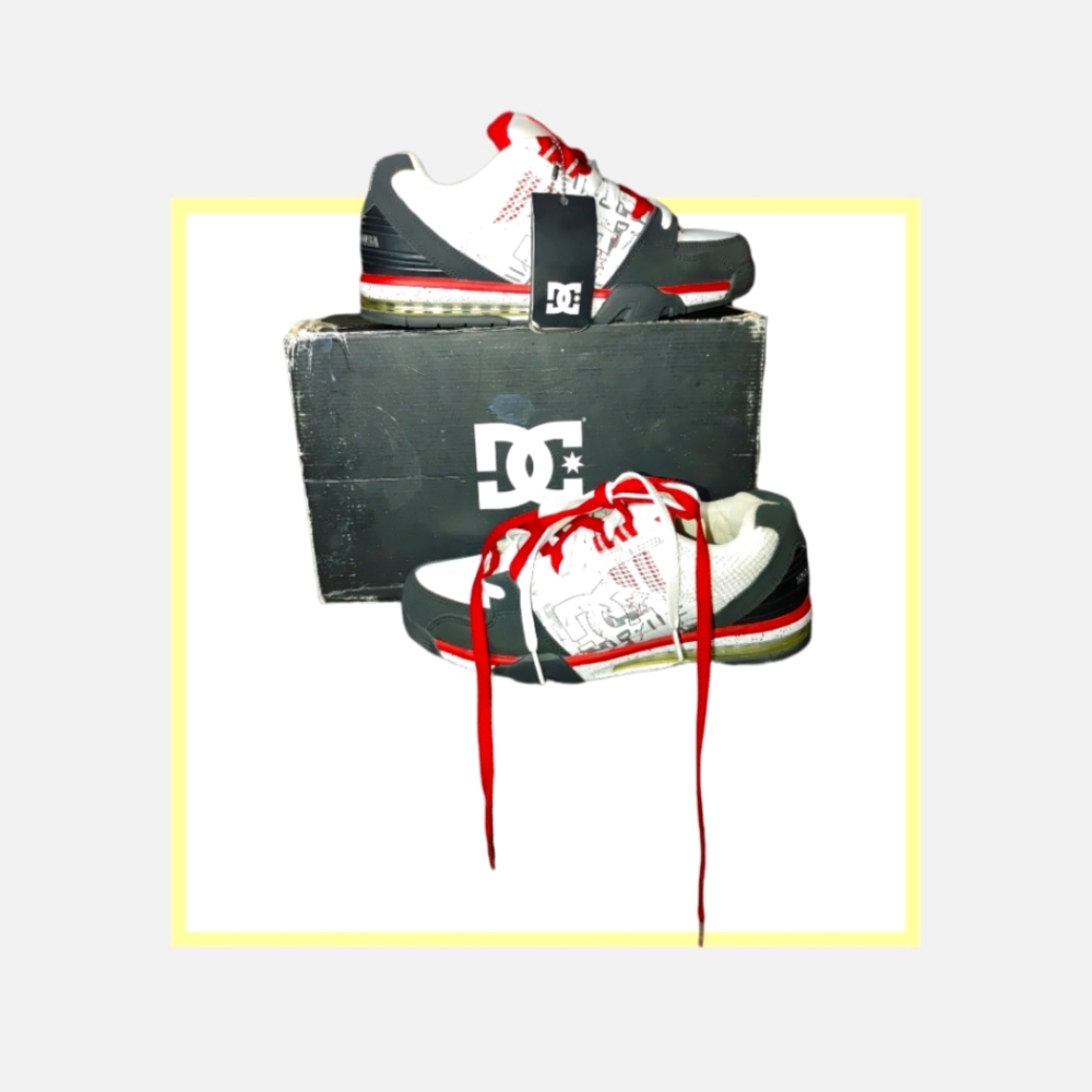 DC SKATER shoe